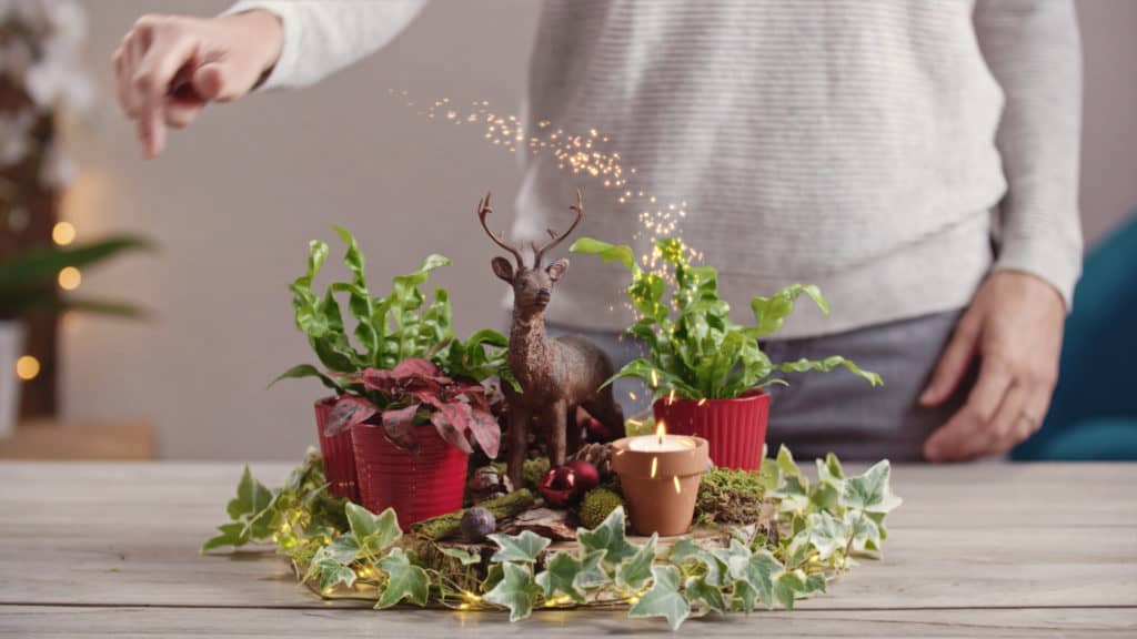 Botanic Tuto Minute de Noël DIY & Film produit Pioucube